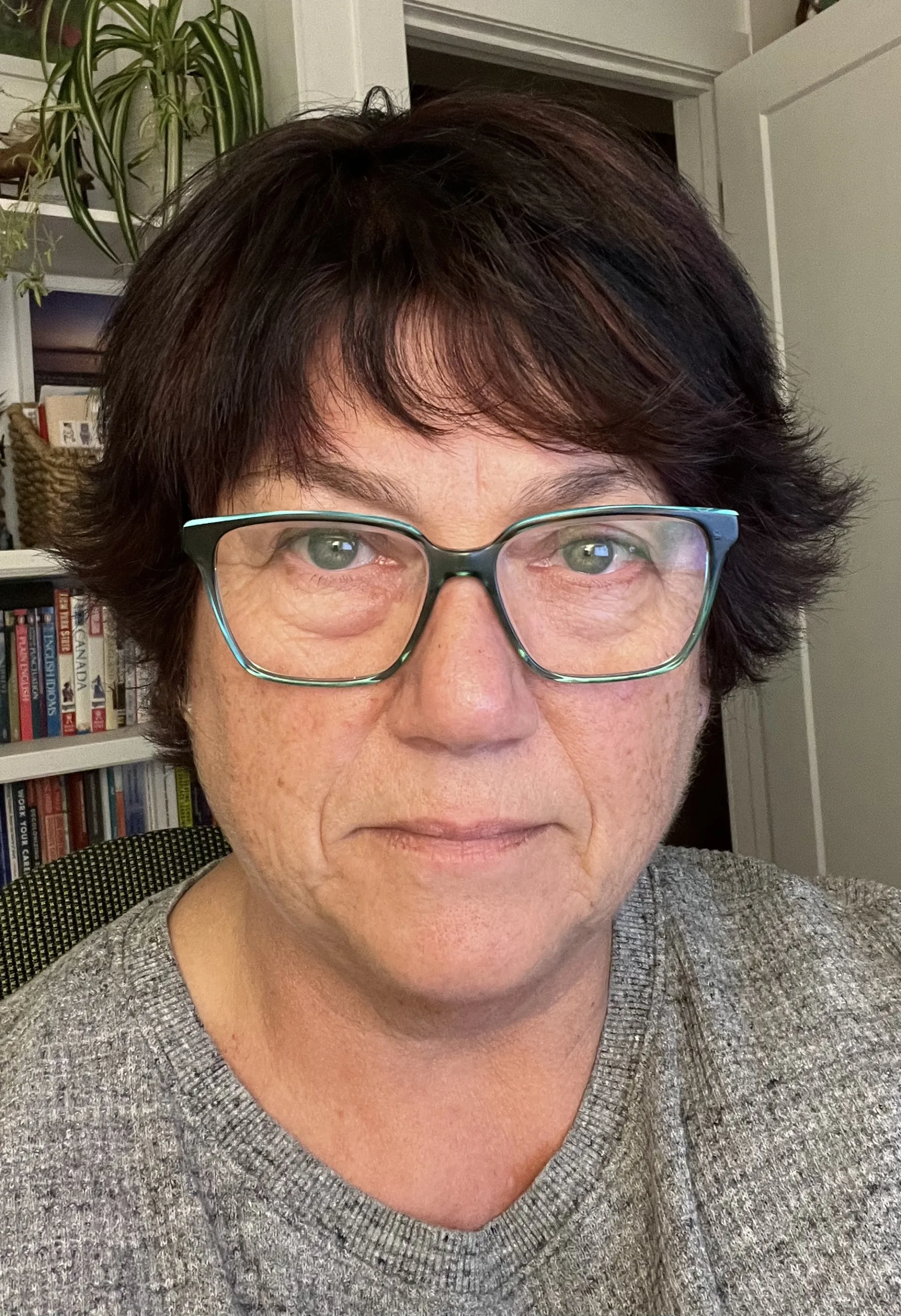 Lorraine Godden,Council Member – Standards Council for Canadian Career Development